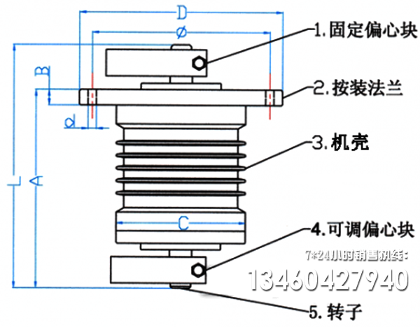 立式振動(dòng)電機(jī)原理圖 立式振動(dòng)電機(jī)原理圖